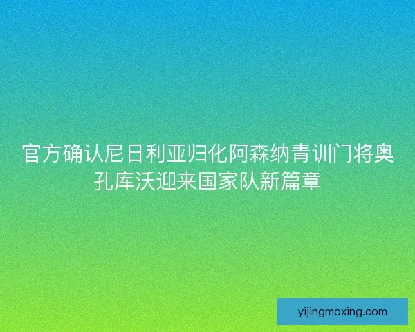 官方确认尼日利亚归化阿森纳青训门将奥孔库沃迎来国家队新篇章